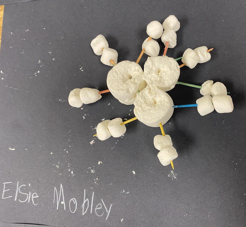 Marshmallow Snowflake STEM Challenge