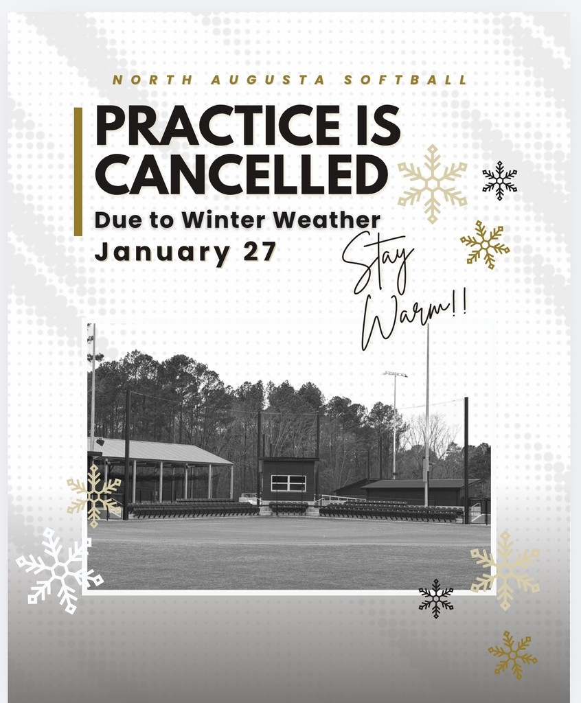 Softball Field in Black and White with graphic snowflakes.