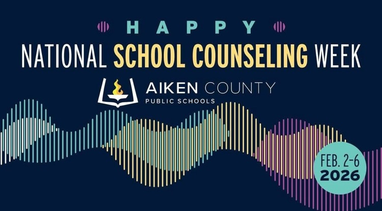 School counseling week