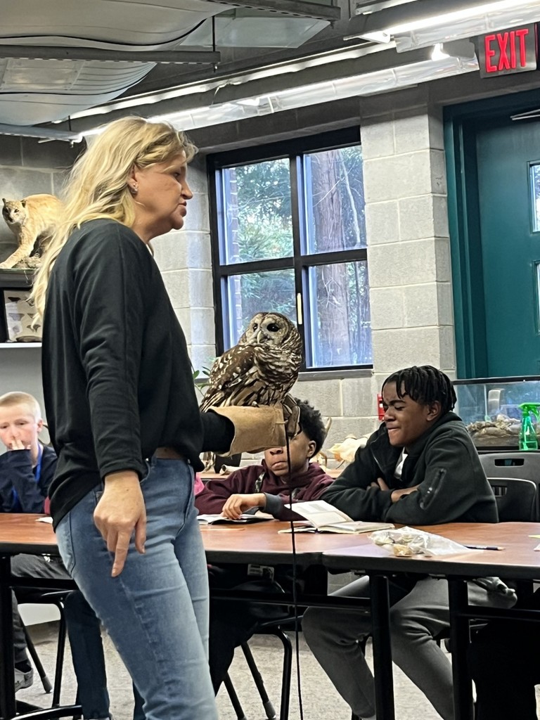 Students watching presentation about an owl