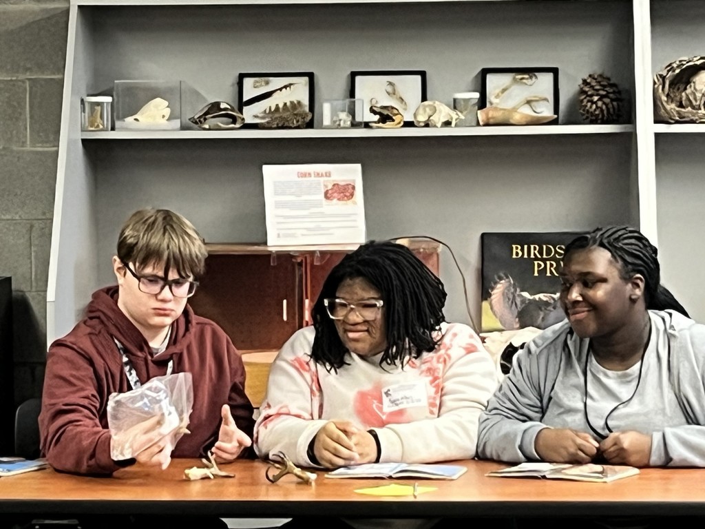 students examining bird talon