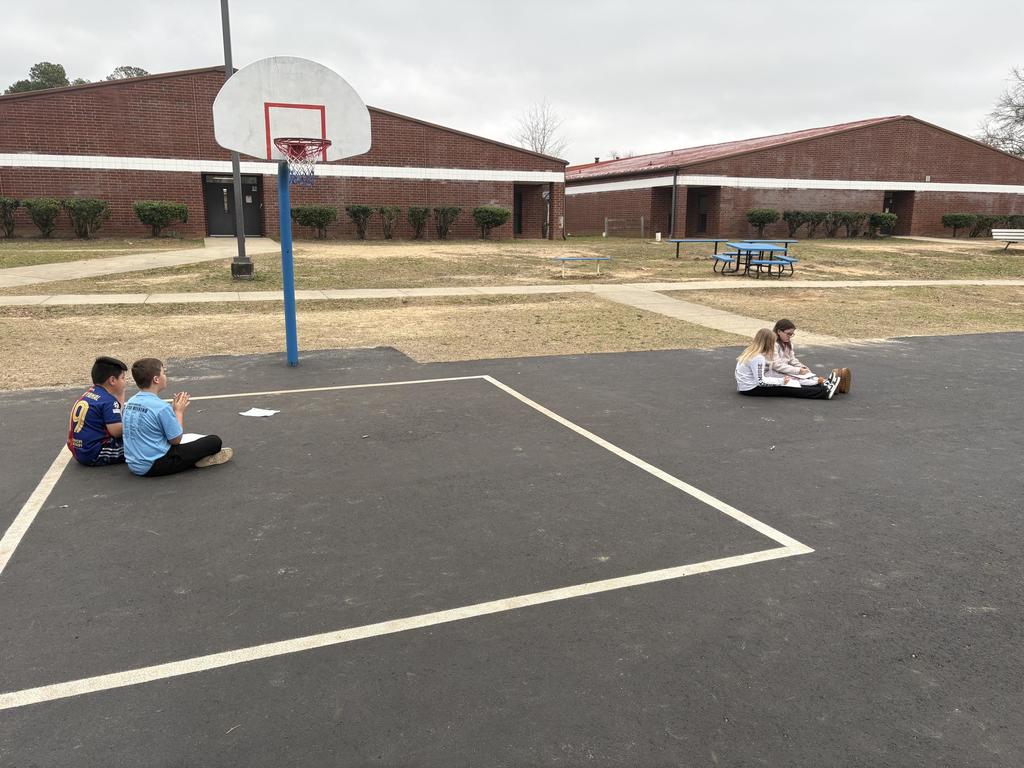 Students making nature observations