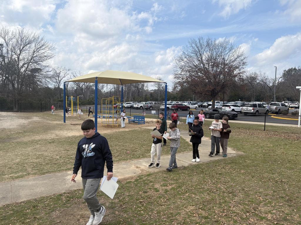 Students making nature observations