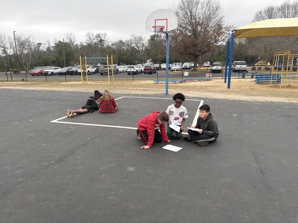 Students making nature observations