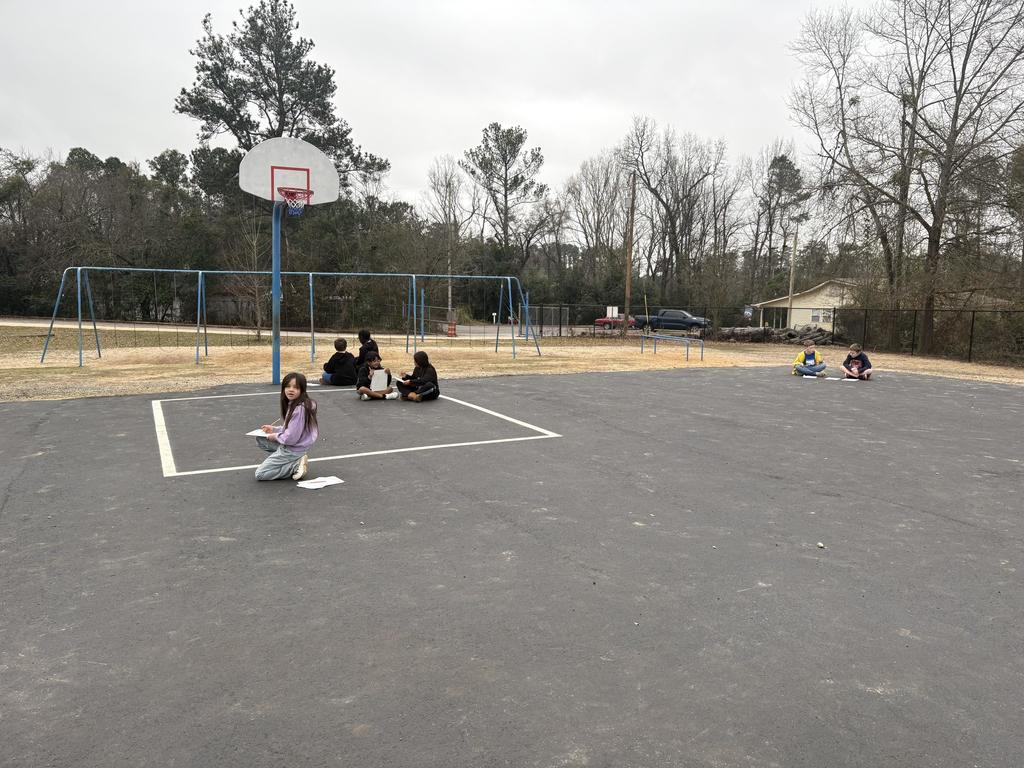Students making nature observations