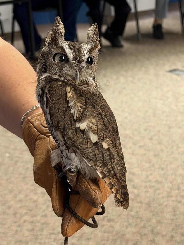 Third Grade Field Trip