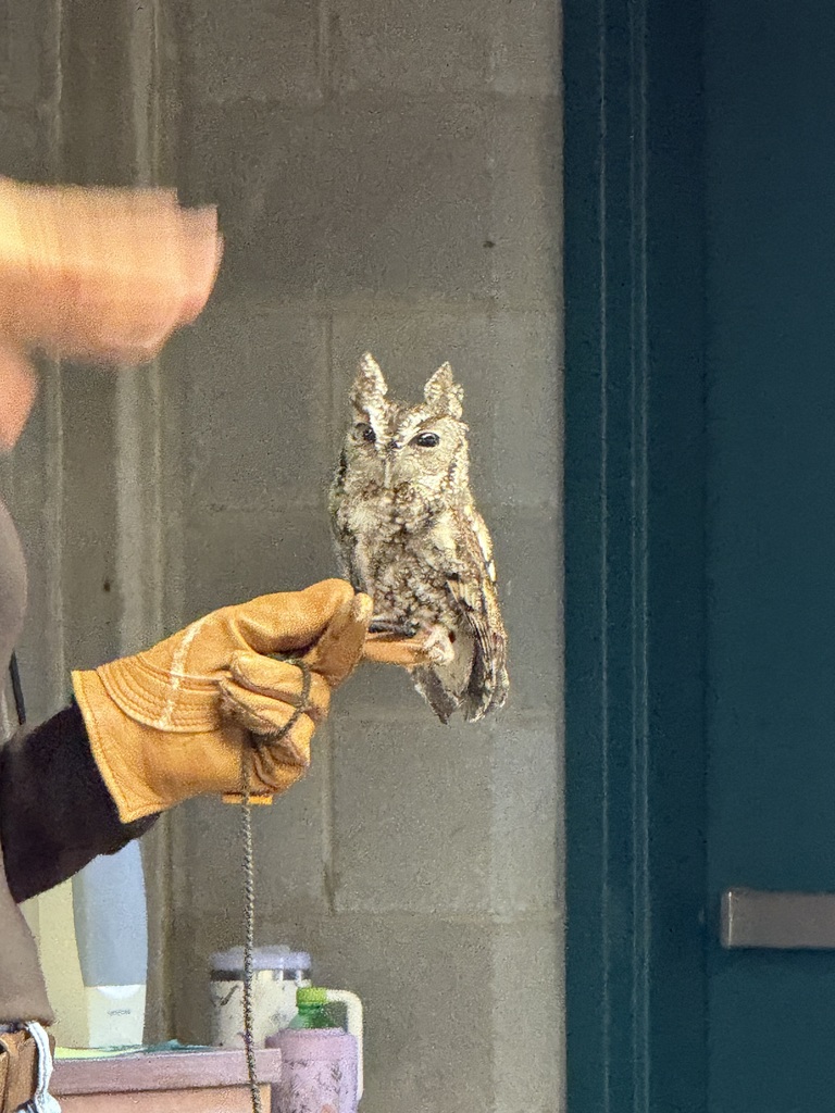 Third Grade Field Trip