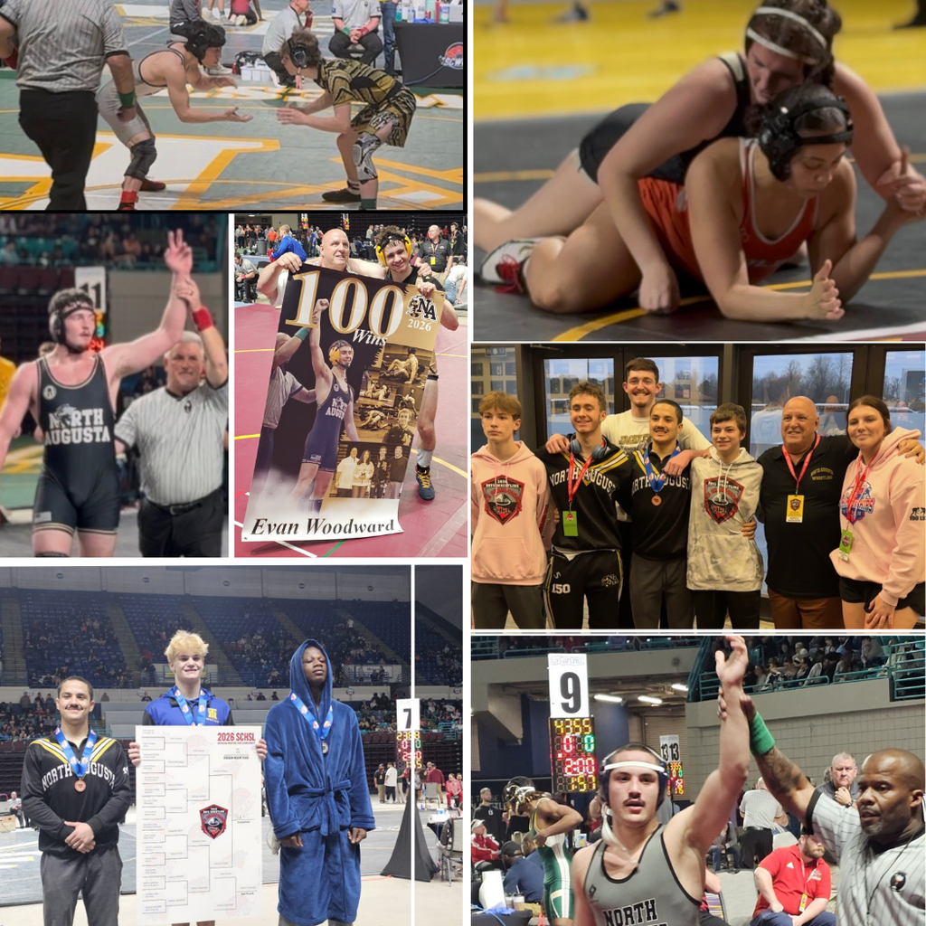 Collage of wrestling pictures.
