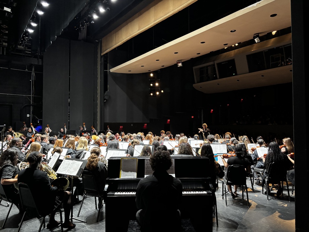 Back of Orchestra Playing in Concert Hall.