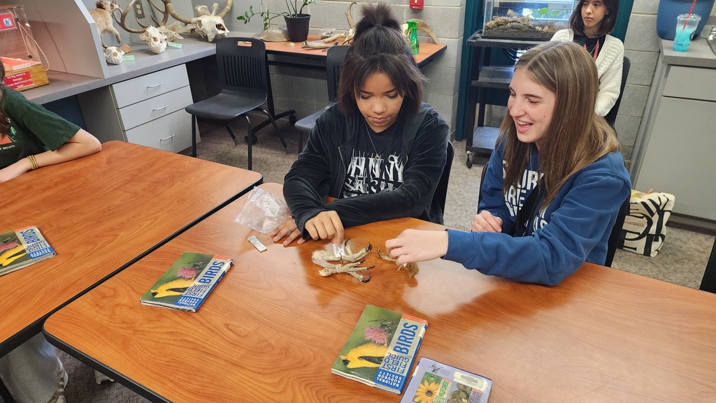 students looking at talons