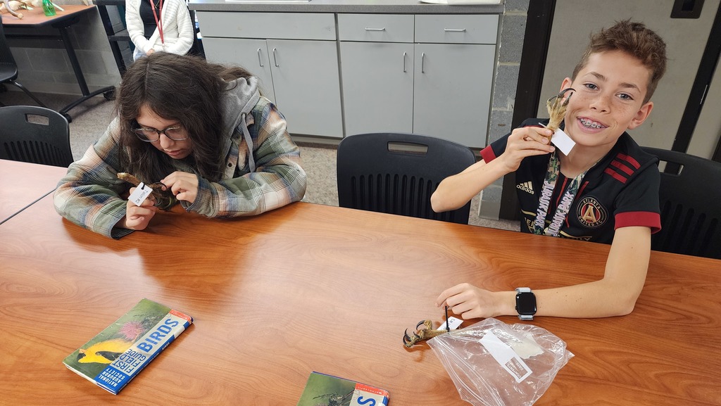 students looking at talons