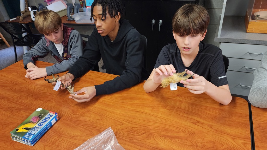 Students looing at talons