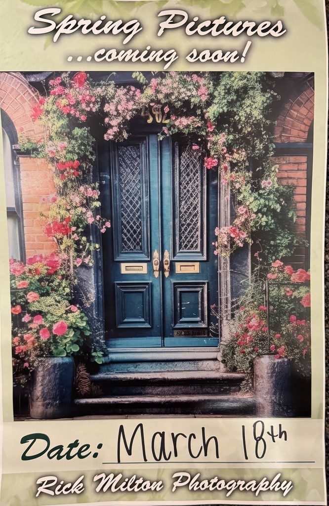Spring Picture flyer