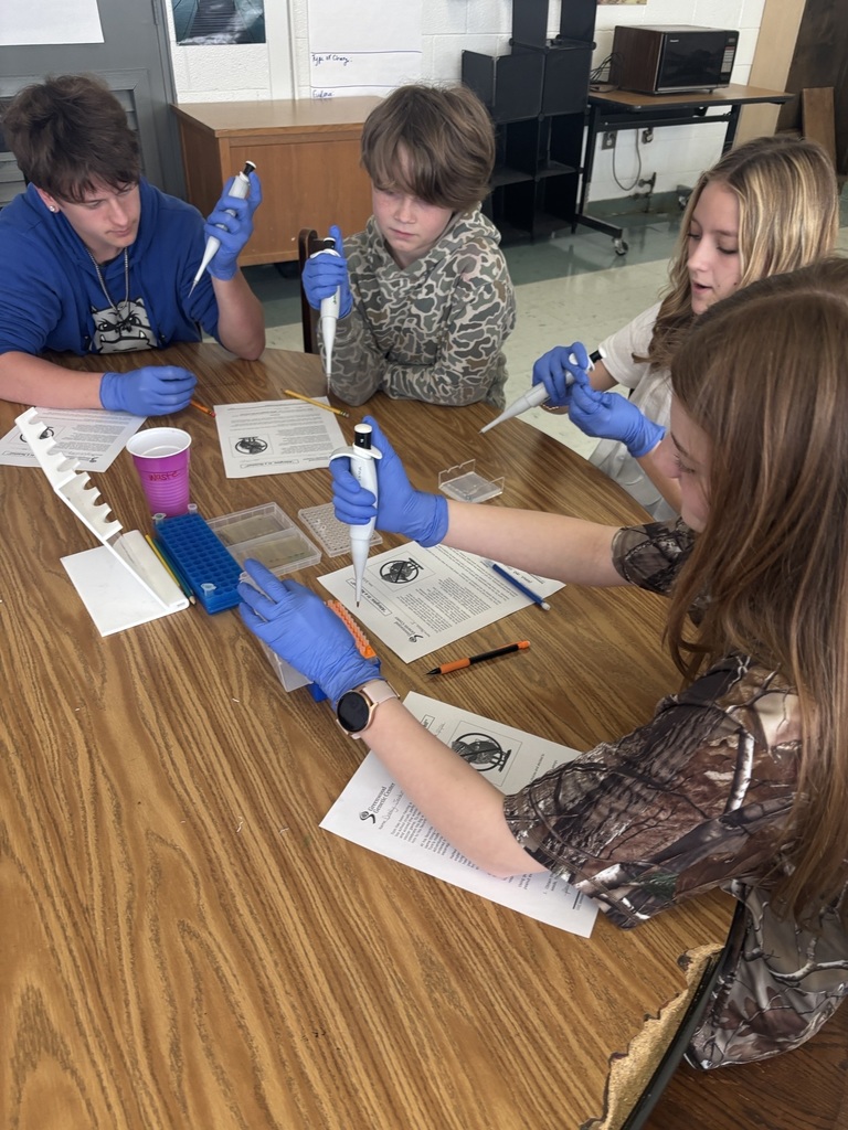 Students conducting an allergy experiment.