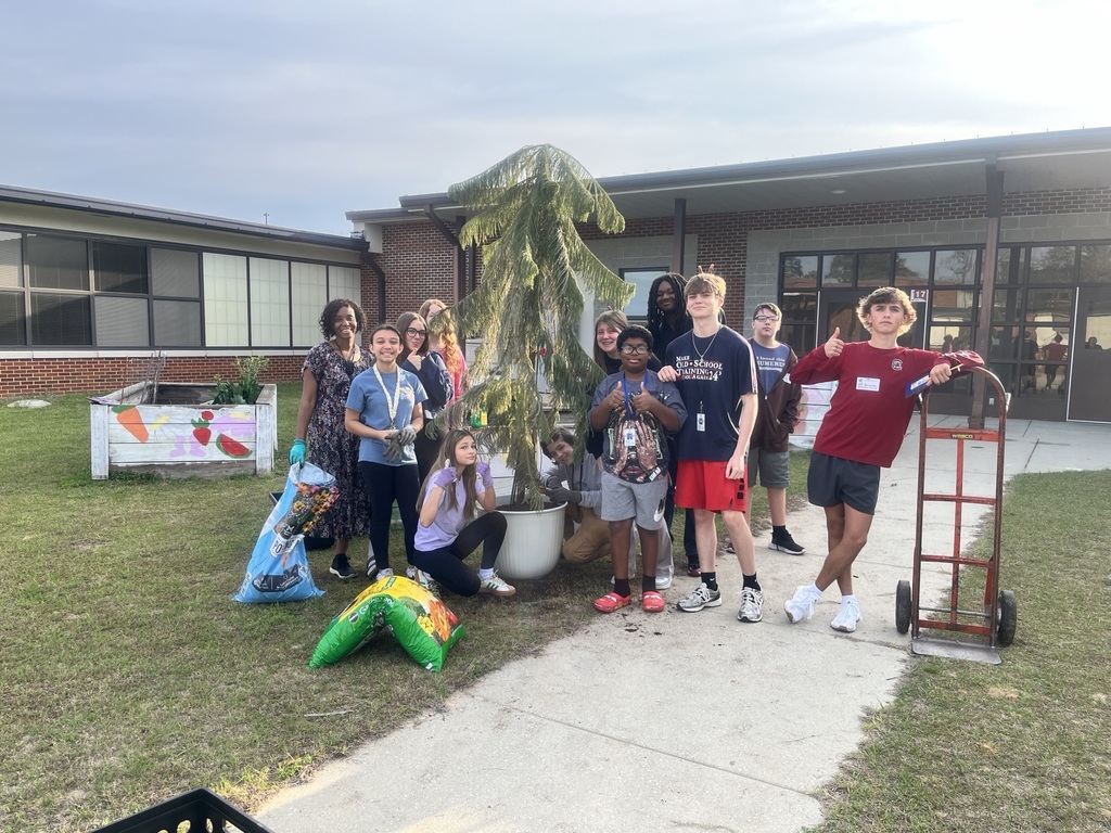 students surrounding a Norfolk Pine Tree