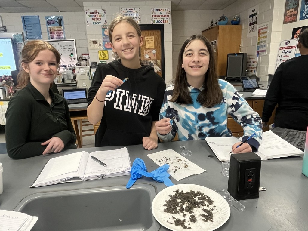 Students dissecting owl pellets