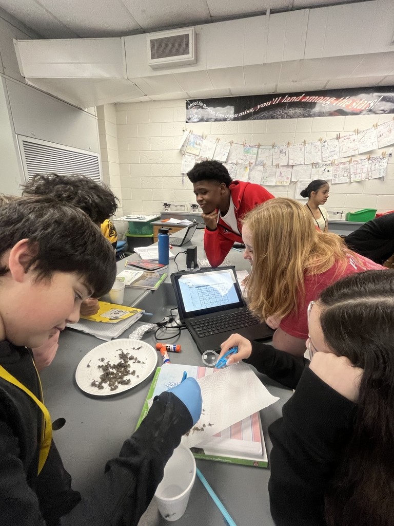 Students dissecting owl pellets
