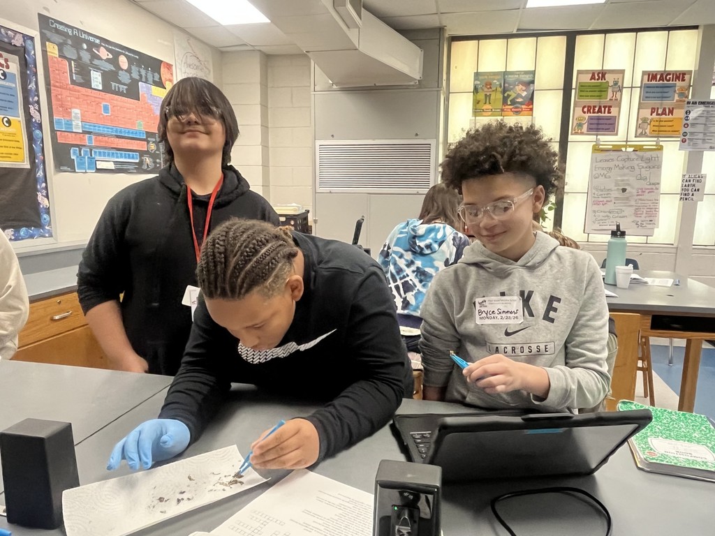 Students dissecting owl pellets