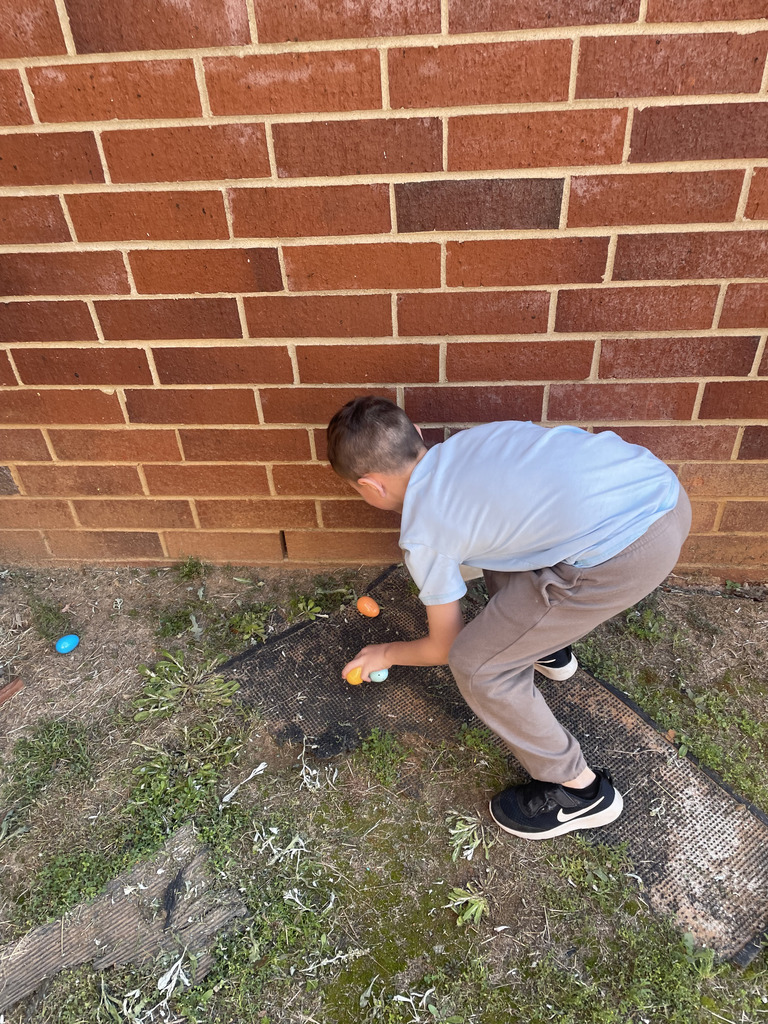 First Graders Graphing