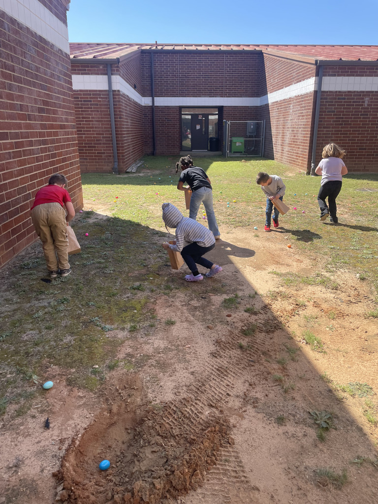 First Graders Graphing