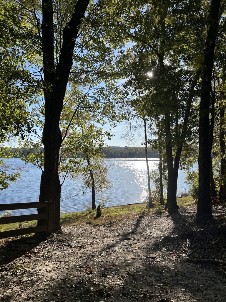 Picture of a lake with the sun reflection looking through the woods with a gate on the left.