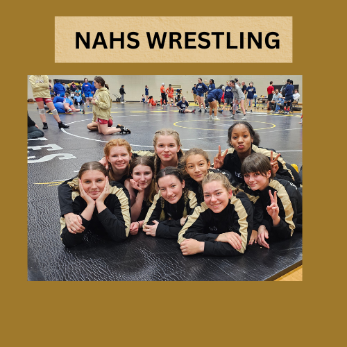 Picture of girl wrestlers on floor posing. 