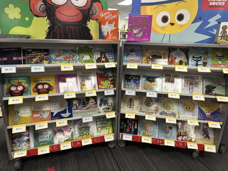 Book Fair shelves