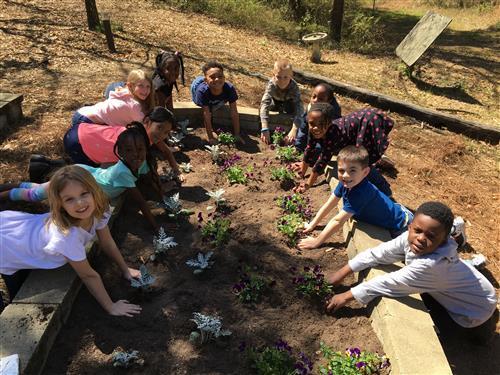 Group of students working in plant bed.