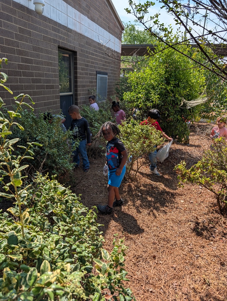 Students picking up trash around school grounds.