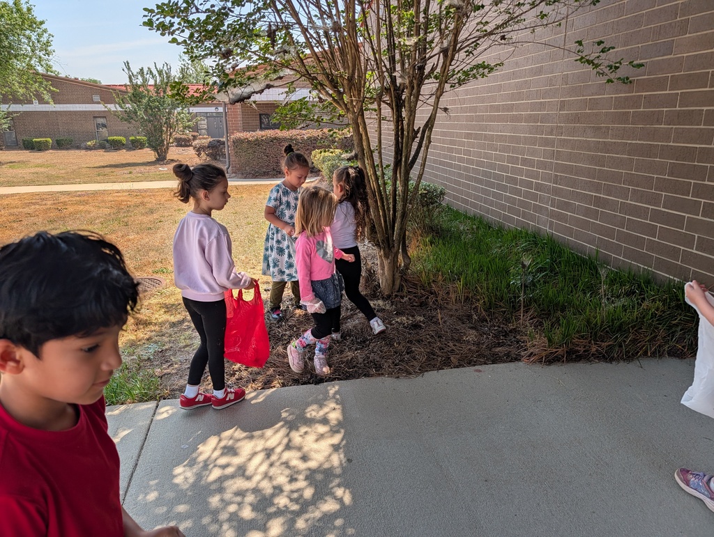 Students picking up trash around school grounds.