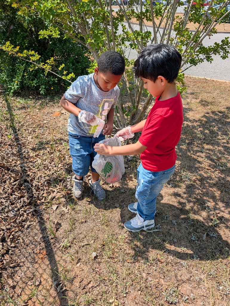 Students picking up trash around school grounds.