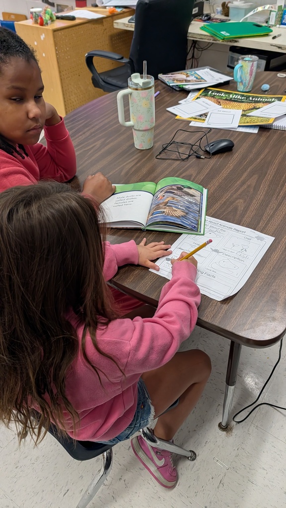 Students working together on projects at tables.