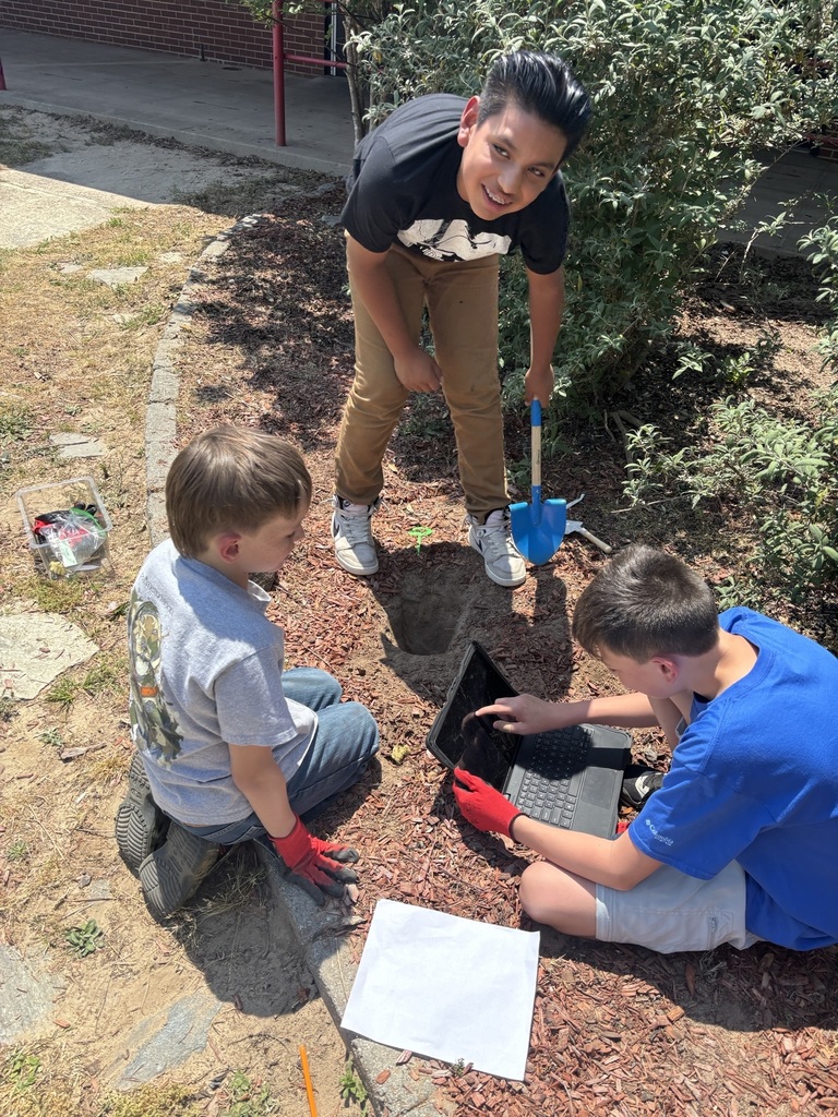 Students researching and planting seeds.