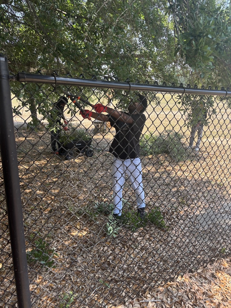 Students trimming a tree.