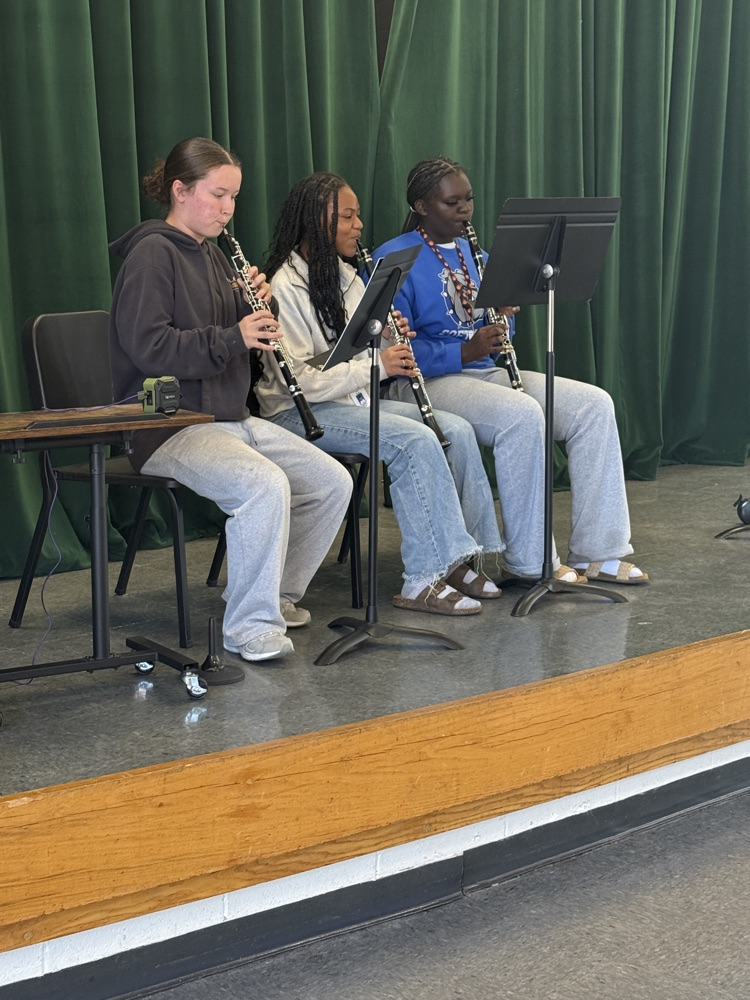 students playing band instruments