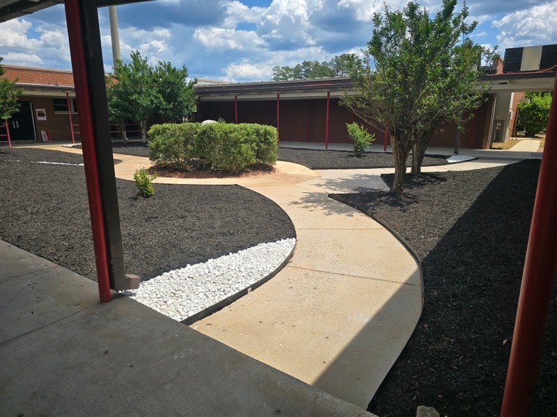 Courtyard pathway after landscaping