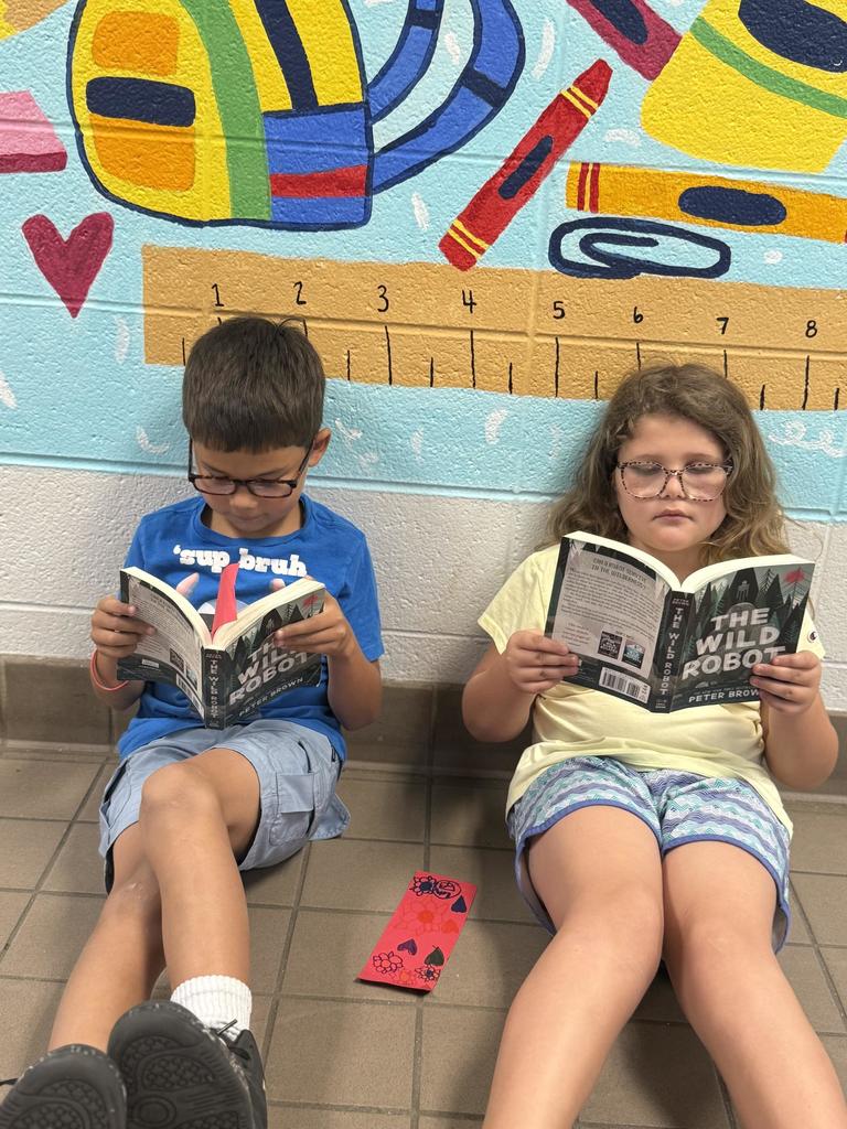 One Book Program The Wild Robot