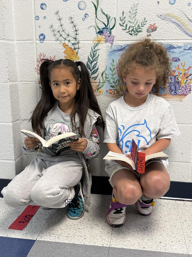 One Book Program The Wild Robot