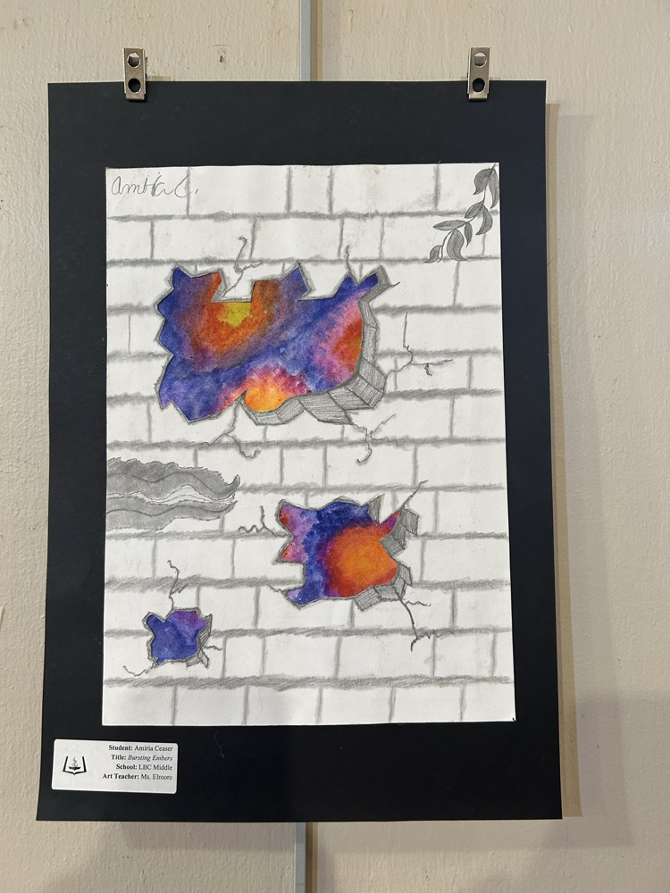 ACPSD Fine Arts Festival