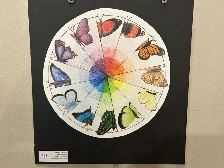 ACPSD Fine Arts Festival