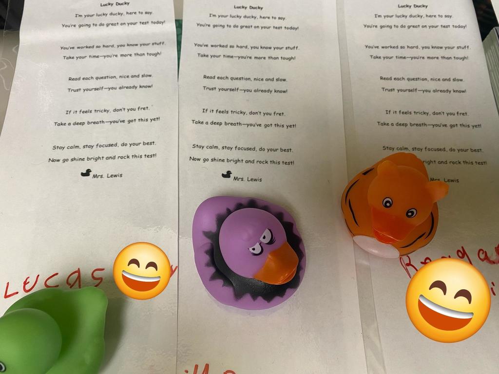 Lucky Ducky Test Buddy