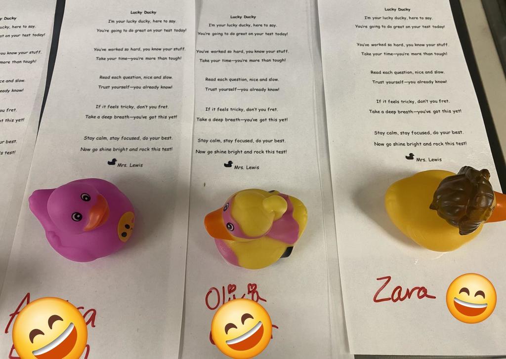 Lucky Ducky Test Buddy