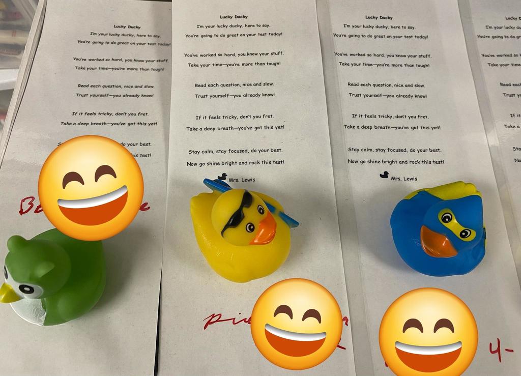 Lucky Ducky Test Buddy