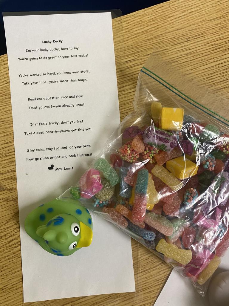 Lucky Ducky Test Buddy