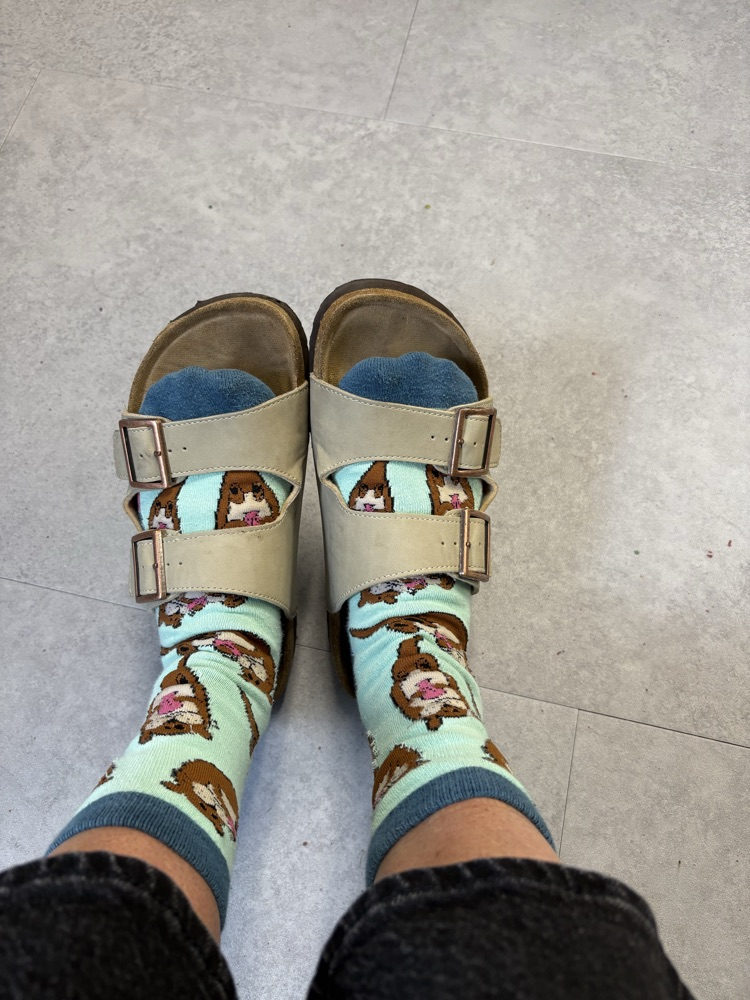 teachers wearing socks and sandals 