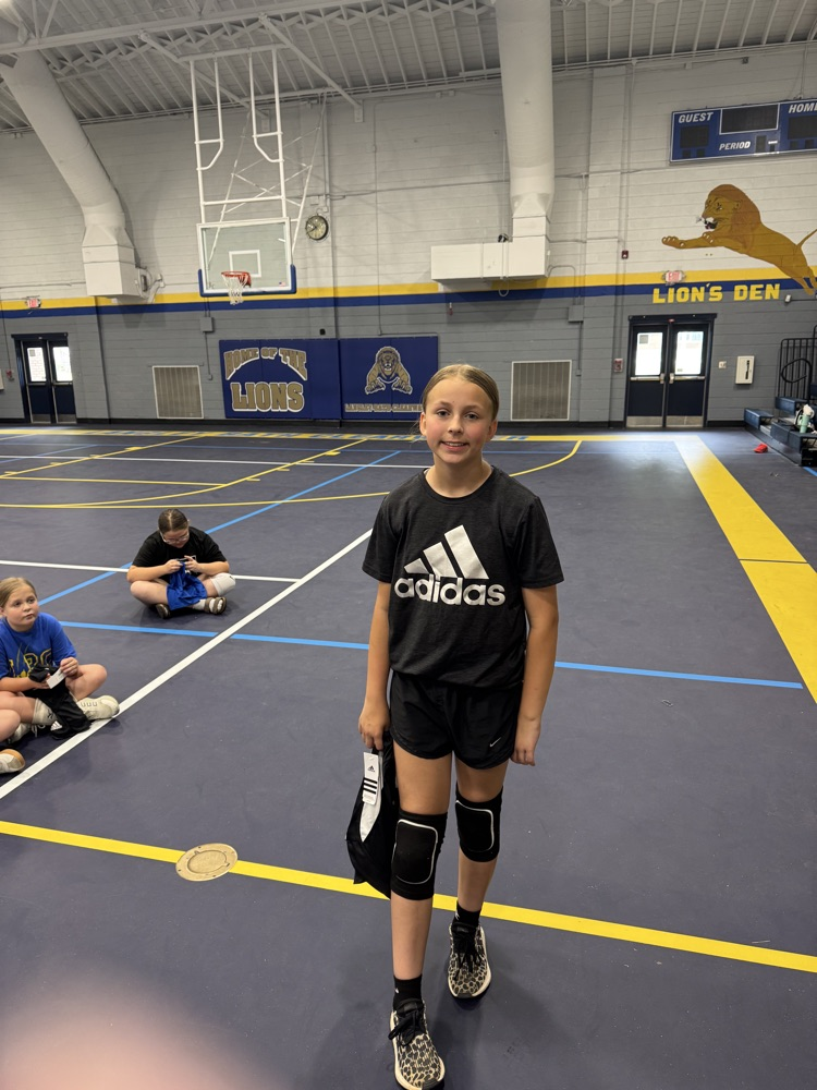 Volleyball Camp