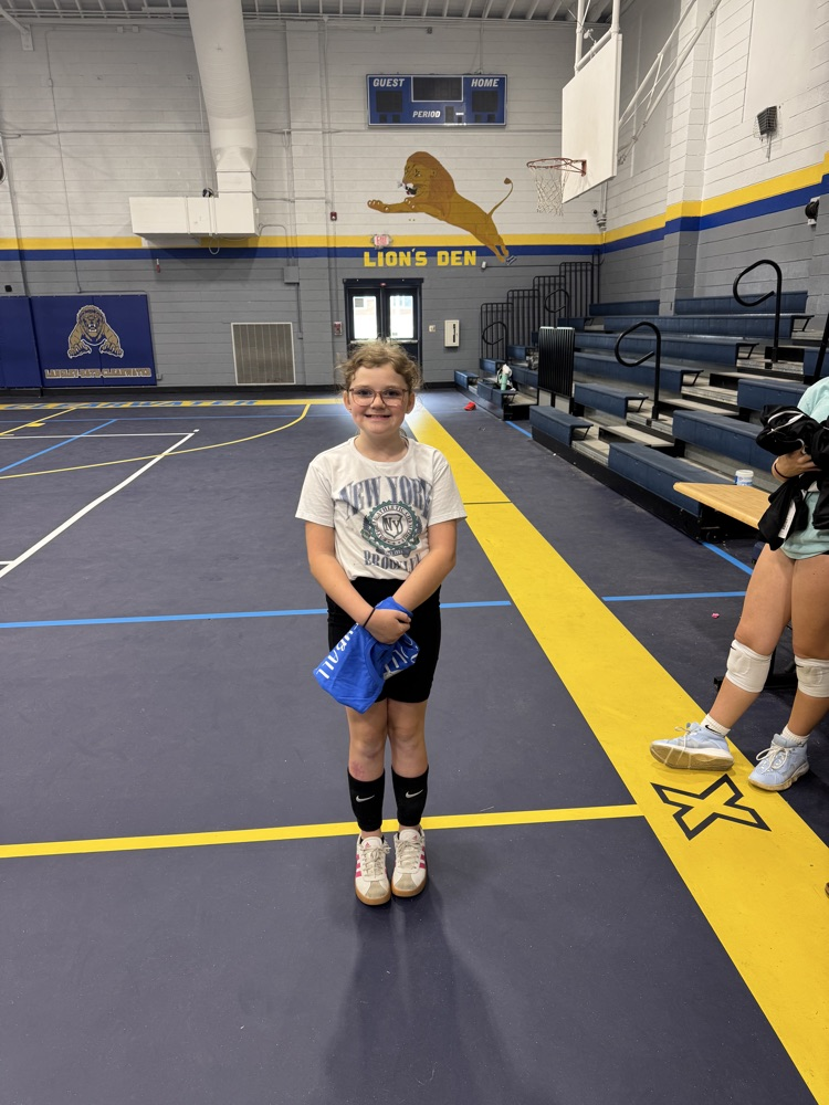 Volleyball Camp