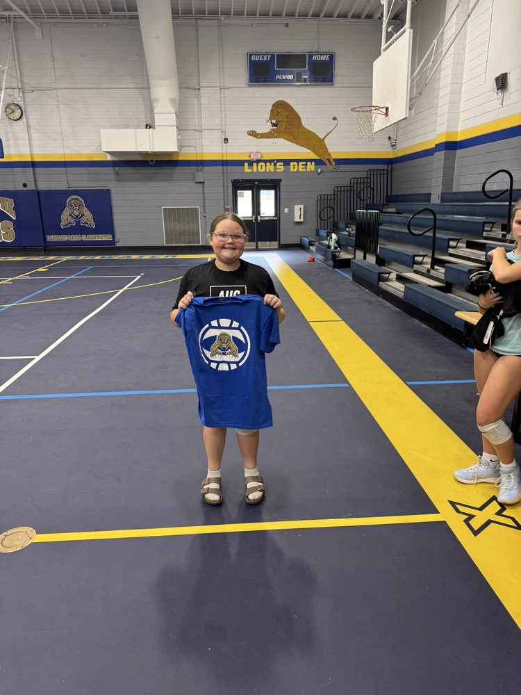 Volleyball Camp