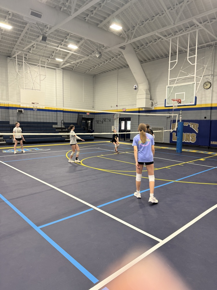 Volleyball Camp
