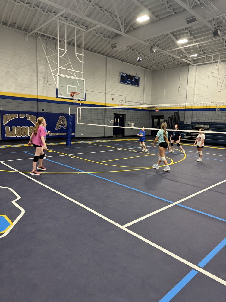 Volleyball Camp